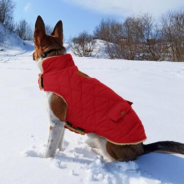 Зимовий теплий одяг для собак: куртка з флісу, підходить для чихуахуа, такс, червона, розмір S