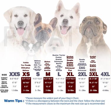 Світшот для собак Чіхуахуа з капюшоном, чорний, з написом 'The Dog Face', розмір Small