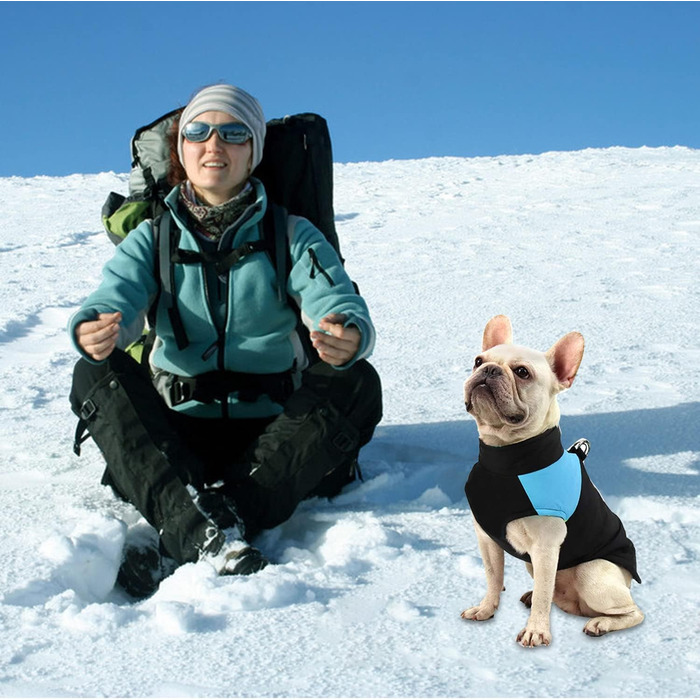 WELLXUNK Теплий водонепроникний дощовик для собак, куртка для маленьких та великих собак (блакитний, 83 см, L)