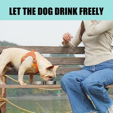 Поїлка для собак на прогулянці 950 мл – ізольована сталева поїлка з мискою для їжі та води, портативна, BPA-free, для подорожей, прогулянок та активного відпочинку (Світло-блакитний, L)