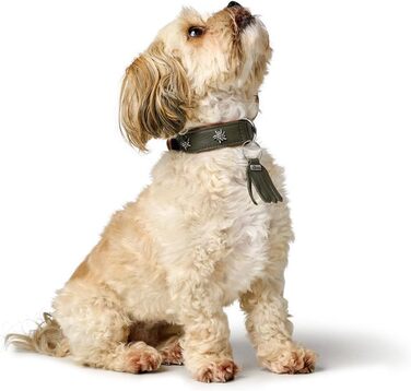 Нашийник для собак HUNTER München зелений/cognac, шкіряний, з елементами традиційного одягу, м'який та міцний, не травмує шерсть, розкішний, екологічно чистий, виготовлений у Німеччині, розмір 50