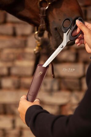 Набір ножиць для догляду за кіньми: ножиці для хвоста та гриви, з чохлом. Нержавіюча сталь, ергономічний дизайн, ідеально для догляду за хвостом та гривою.