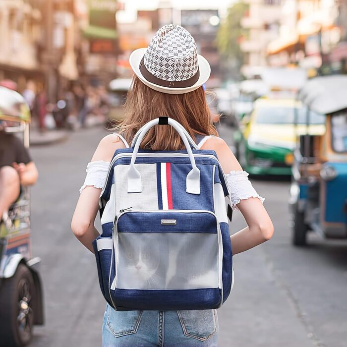 Рюкзак для котів та маленьких собак Galatée, дихаючий, для подорожей, пікніків та кемпінгу (блакитний)