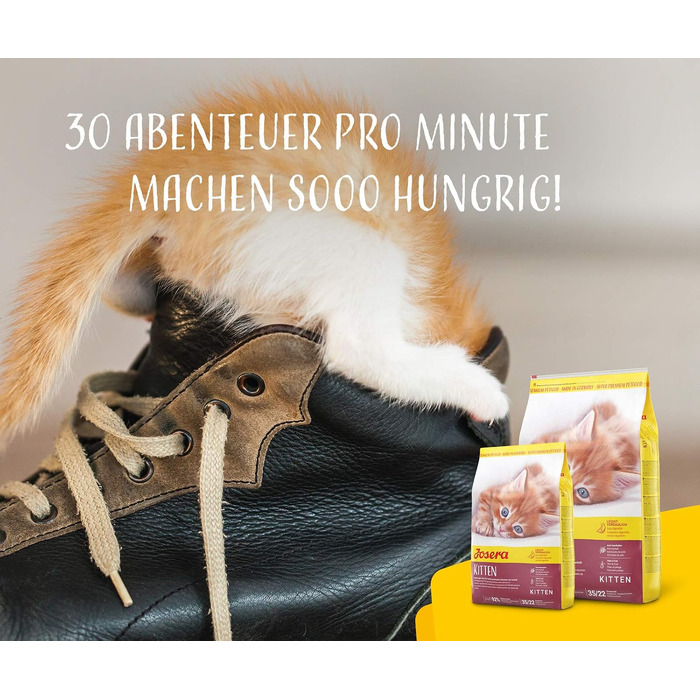 Сухий корм для кошенят JOSERA Kitten з лососем та птицею, 10 кг