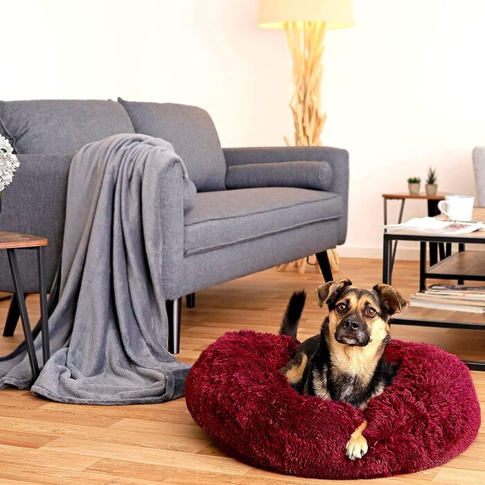 Лежанка для собак середніх та маленьких порід, міцна та анти-гризун, миється, для котів та інших домашніх тварин, 50 x 70 см, бордовий колір