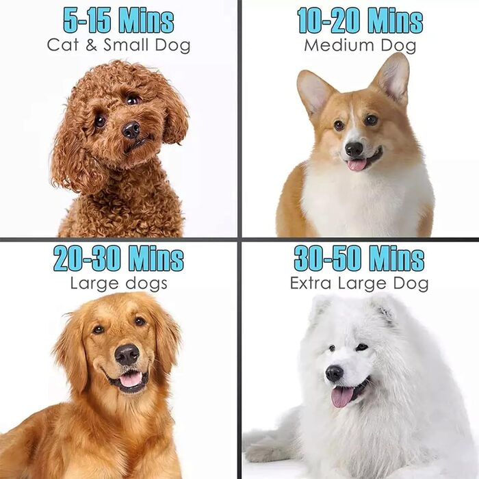 Професійний фен для собак 2800W, регульована швидкість та температура, сушарка для тварин з 4 насадками (чорний)