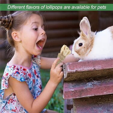 Іграшка для гризунів з натурального дерева та тимофіївки, RUNANIA – іграшка для кроликів, морських свинок, хом'яків, шиншил, мишей