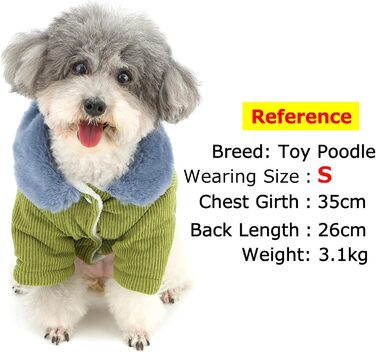 Зунеа Куртка для собак з кордурової тканини, тепла, з флісовою підкладкою, для цуценят, з кільцем D, мила, для холодної погоди, товста, для чихуахуа, зелена, розмір XL