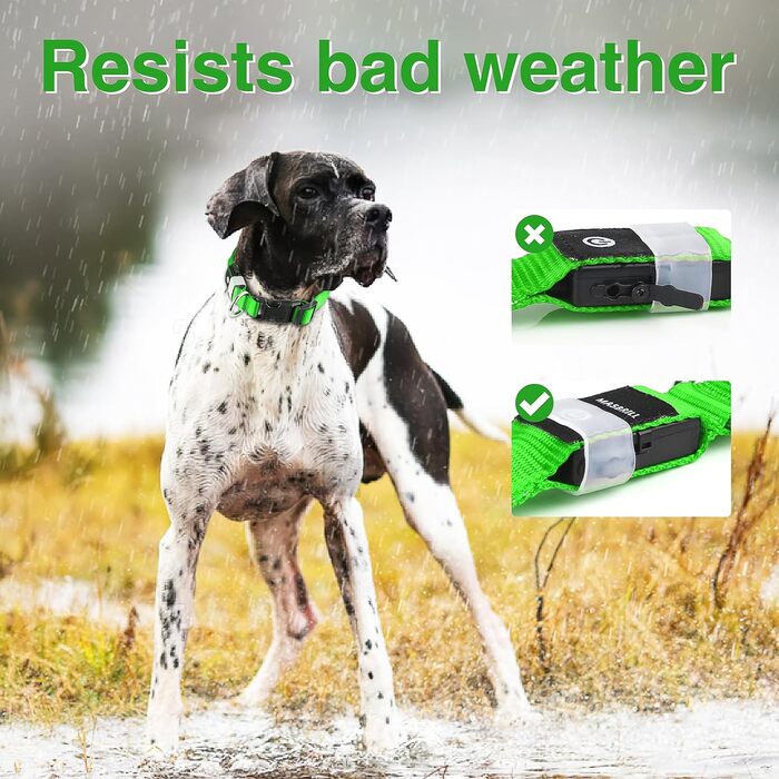 Світловідбиваючий нашийник для собак MASBRILL з LED, USB-C, регульований, водонепроникний, 3 режими світла, розмір M, колір зелений