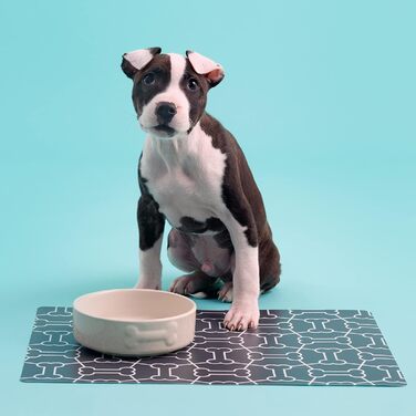 Миска для собак Mason Cash Colour Mix Creme, 15 см, кремового кольору