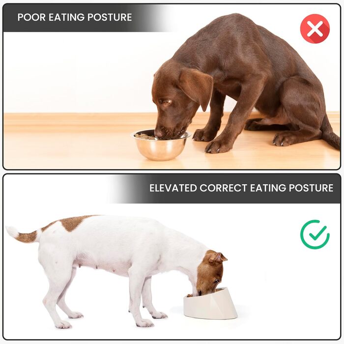 Підвищена годівниця для собак Belle Vous з мискою - 470 мл, нержавіюча сталь, протиковзна, без витоків, для собак та котів