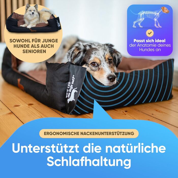 Міцне ліжко для собак: великих, маленьких, цуценят та літніх собак. Зручне собаче ліжко-корзина, різні кольори (M, онікс)