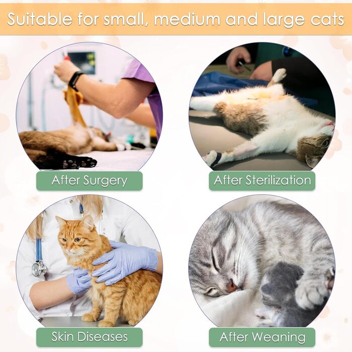 Тільце після кастрації для котів, медичний одяг, хірургічний костюм, одяг для відновлення після операції (Помаранчевий, S)