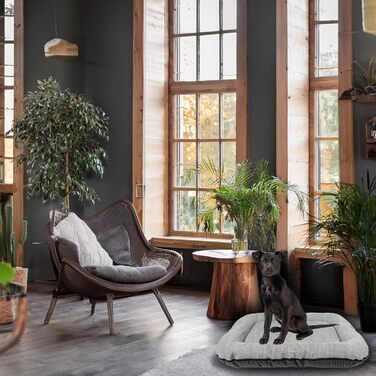 Водонепроникне лежанка для собак, килимок з кодури | Внутрішнє та зовнішнє використання, для маленьких собак | Сірий колір, розмір S: 70 x 50 см