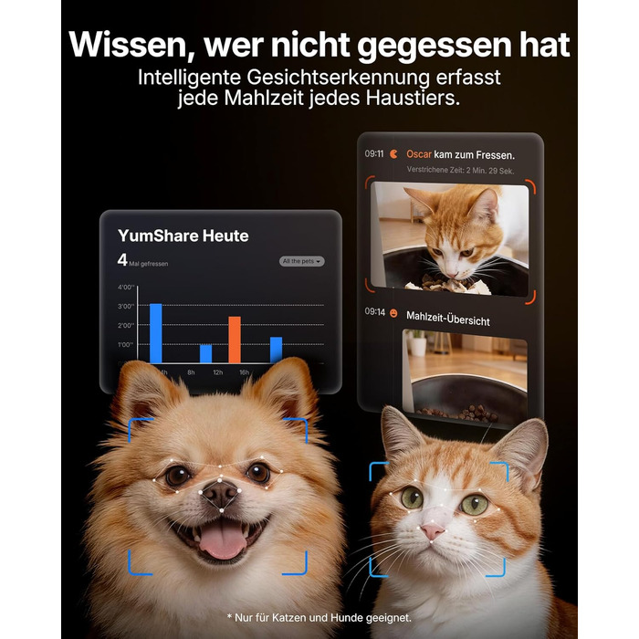 Автоматична годівниця для котів та собак PETKIT YumShare Solo 2 з камерою, розпізнаванням облич та Wi-Fi (2.4/5G), 3 л