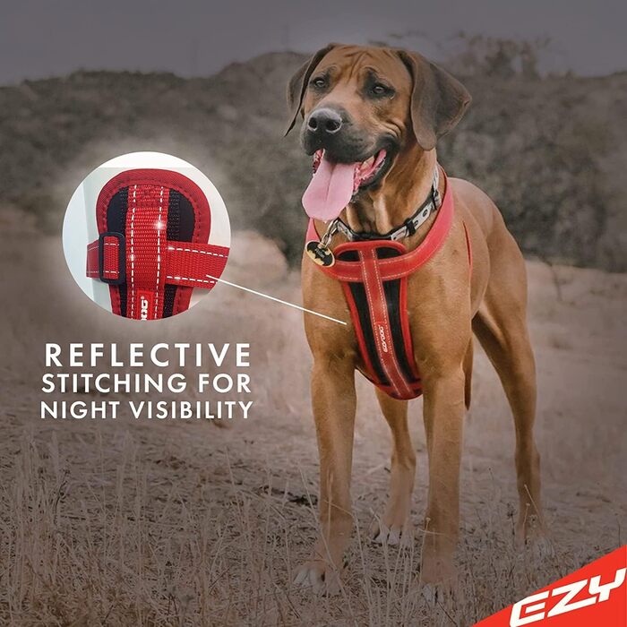 Шлея Ezydog Corduroy XL для собак 56-97 см 35-41 кг
