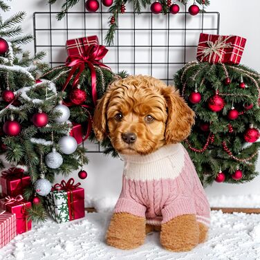 Теплий зимовий пуловер для собак з коміром-горловиною. Зручний теплий одяг для собак та кошенят в холодну погоду (X-Large)