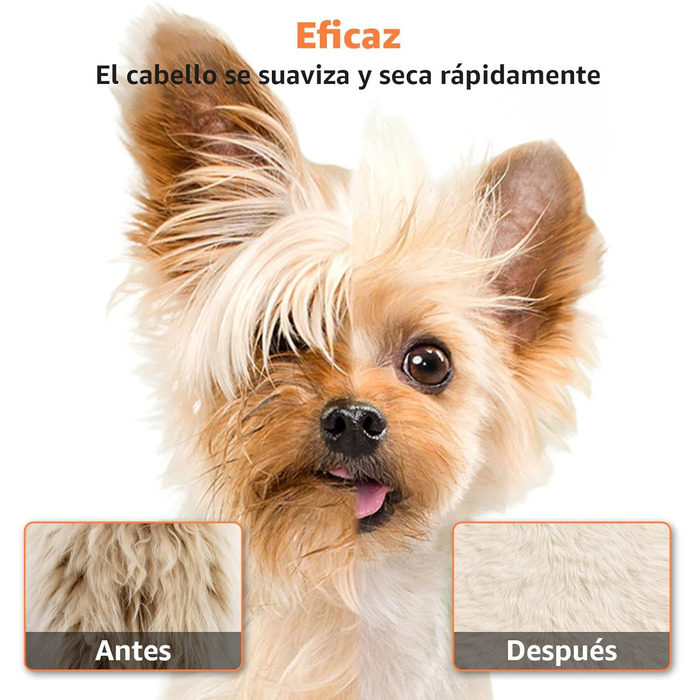 XKISS Професійний набір для грумінгу собак 2800W з пилососом для шерсті, фен для собак, машинка для стрижки собак, видалення шерсті (зелений)