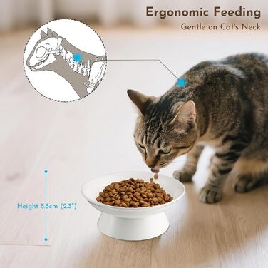 Миски для котів з кераміки, 2 шт., 15,3 см, підняті миски для корму, миски для кошенят та дорослих котів, анти-блювотні миски (білі)