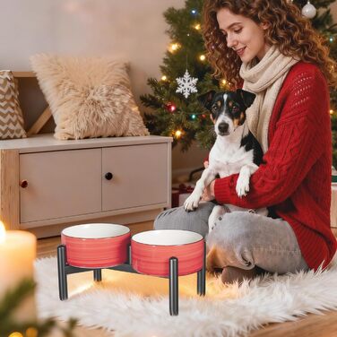 Керамічна годівниця для собак на підставці з нержавіючої сталі - подвійна годівниця для маленьких та середніх собак, антиковзаюча, для корму та води, 350г/660мл, 15см, блакитна