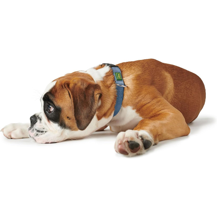 Нашийник для собак HUNTER VARIO PLUS, надійний, зручний, з напівкруглою пряжкою (S/1.0, блакитний)