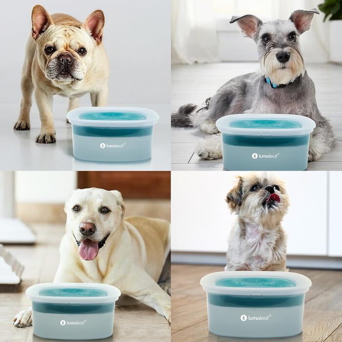 Миска для собак LumoLeaf без розливання, повільний годівниця, суха паща, без розбризкування (2L, блакитна)