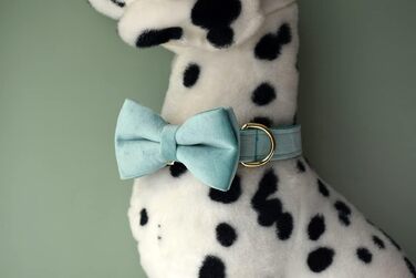 Іменний нашийник для собак з металевою застібкою, індивідуальні адресники для тварин з гравіюванням імені, телефону та адреси (Стиль А)