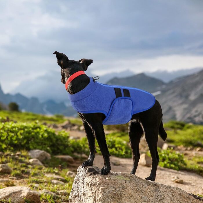 Теплий флісовий жилет для собак - тепла жилетка для маленьких та середніх собак, флісова куртка для котів та собак (Синій XS)