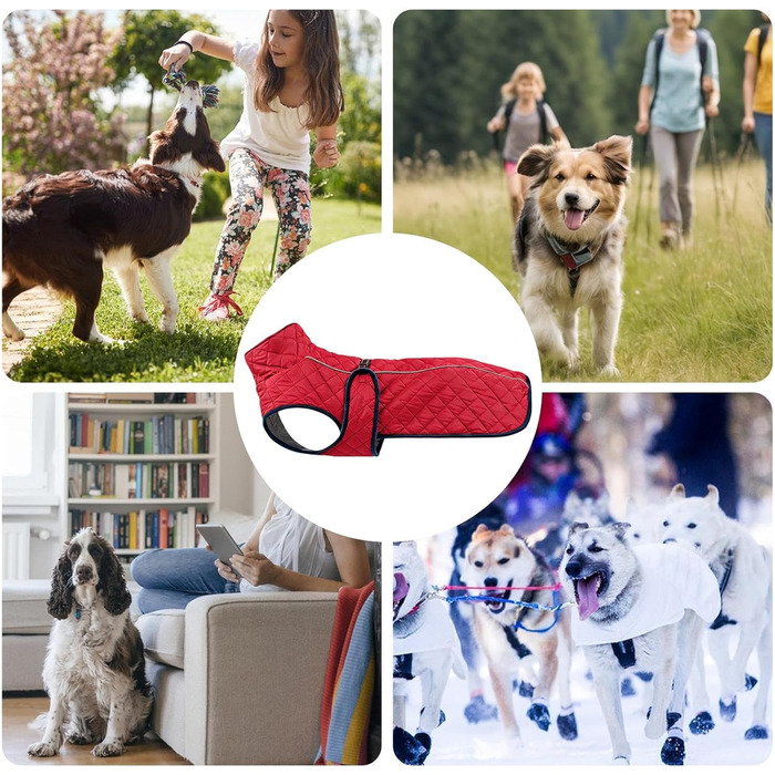 Зимовий теплий одяг для собак - Вітростійка жилетка-світловідбивач для собак, теплий зимовий одяг для собак | Для активного відпочинку: прогулянки, пікніки, кемпінг, катання на лижах, міські прогулянки
