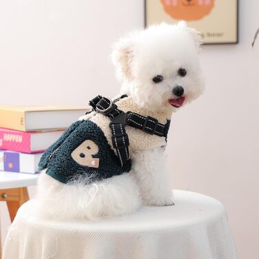 Зимовий теплий одяг для собак - куртка з флісовою підкладкою з отвором для шлейки, тепла куртка для холодної погоди, для маленьких та середніх собак, осінь, зелено-білий