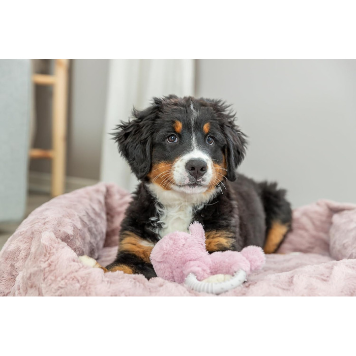 Ортопедичне ліжко для собак TRIXIE Vital Loki, 65x50 см, рожеве - м'яке ліжко з Memory Foam для маленьких собак, суглобово-захисне