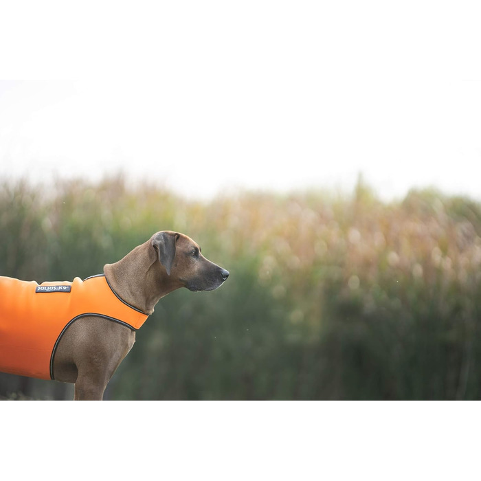 Одяг для собак Julius-K9 IDC Neopren, M, оранжево-чорний