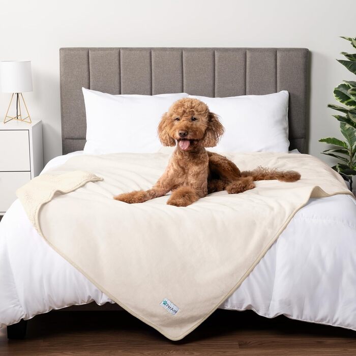 Водонепроникний килимок для собак PetAmi, 60x80 см, рожевий, для ліжок, диванів, собак та кошенят, миючий, рожевий & бежевий