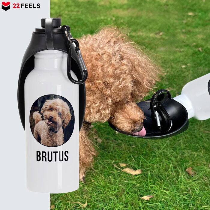 Персоналізована пляшка для води для собак 600 мл з фотографією та ім'ям. Зручна, виточна, з карабіном. Ідеально для прогулянок, подорожей та активного відпочинку.