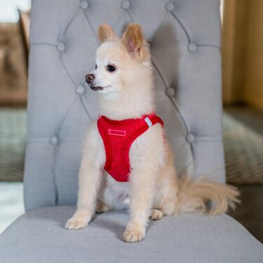 Нагрудник для собак Voyager Step-In Plüsch від Best Pet Supplies - м'який плюшевий нагрудник для собак маленьких та середніх порід, шоколадного кольору, розмір M (обхват грудей 40-45 см)