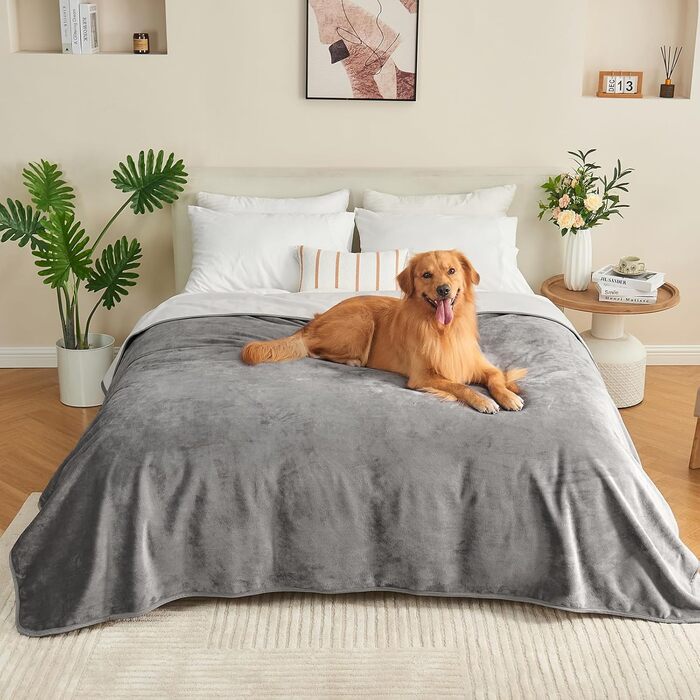 Водонепроникний плед для дорослих, зворотний водонепроникний плед для собак, котів, домашніх тварин, м'який, не пропускає вологу, для захисту ліжка, дивана, софи, меблів (Сірий/Світло-сірий, 101x152 см)