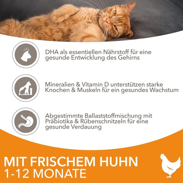 Сухий корм для кошенят IAMS з рибою та куркою для віку від 1 до 12 місяців, 3 кг