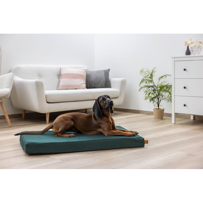 Матрац для собак Kerbl Oliver з піною з пам'яті, для собак з проблемами суглобів, ортопедичний, знімний чохол, Made in Italy, коричневий, 80x50x8 см