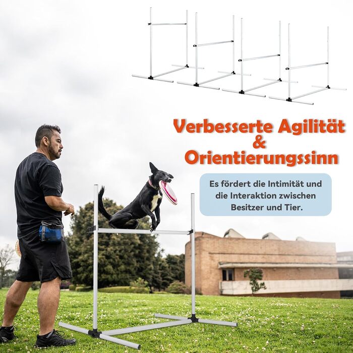 Набір для аджиліті для собак Froadp Agility Set: 4 перешкоди, регульована висота, 104x70x101 см, білий
