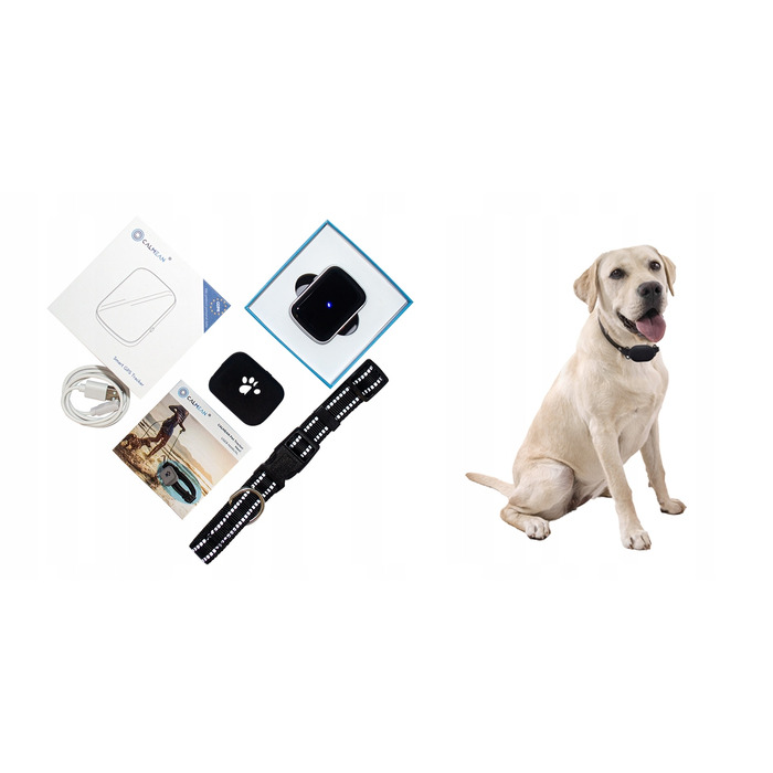 GPS-трекер для собак CALMEAN Maxi + нашийник L/XL