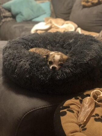 М'яке ліжко для собак Haoye, кругле лежанка для домашніх тварин, лежанка-пончик для котів та собак, миється, зручне ліжко для собак та котів (діаметр 50-120см / 7 розмірів), діаметр 70см (чорний, 80см)