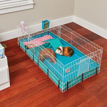 Клітка для морських свинок MidWest 171GHP, 119x61x36 см, з кришкою та перегородкою, біло-зелена