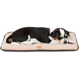 колір: бежевий