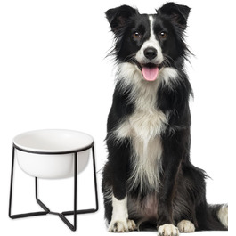 колір: матвей