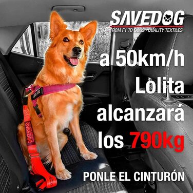 PONSA SAVEDOG: Безпечний поводок-переноска для собак. Міцний, вантажопідйомність 1000 кг, відповідає ISO 27955:2010