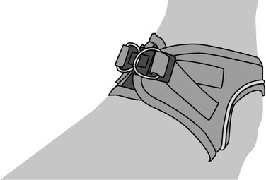 Шлейка для собак середнього розміру Flamingo Step&Go Bento Beige, L