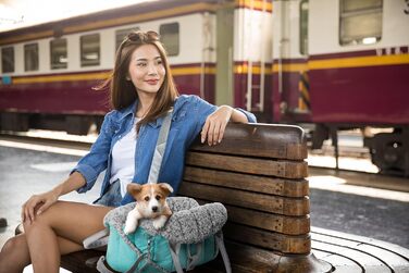 Сумка-переноска для собак та котів Vertellbar, туркуаз, 47x29x32 см. Ідеально для подорожей та кемпінгу