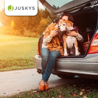Складана транспортна коробка для собак і котів Juskys Lassie L, 50x70x52 см, з ковдрою, сумкою та ручками, сірий, оксфорд, переноска для авто та дому