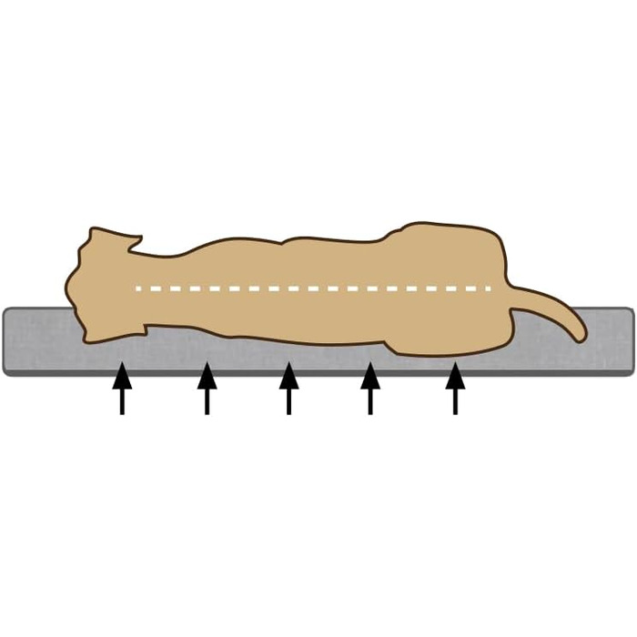 Ортопедичне ліжко для собак Beeztees Zira, темно-сірий, 75x50x9 см