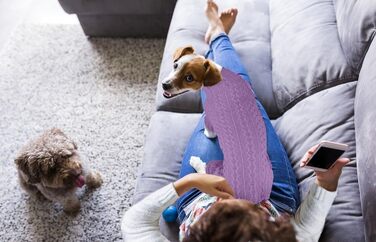 Вовняний пуловер для собак з коміром-горловиною, однотонний, теплий, для цуценят та собак середніх розмірів (зелений та фіолетовий, розміри S/M та L)